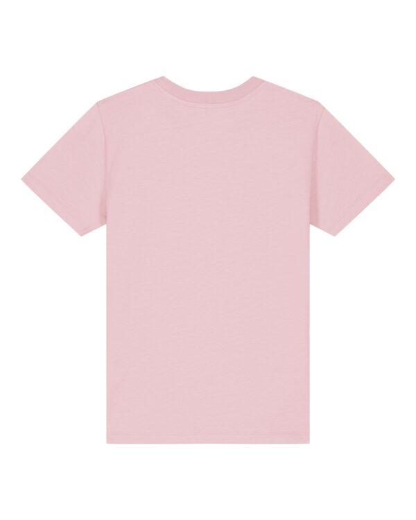 PBM0 STTK184 C005