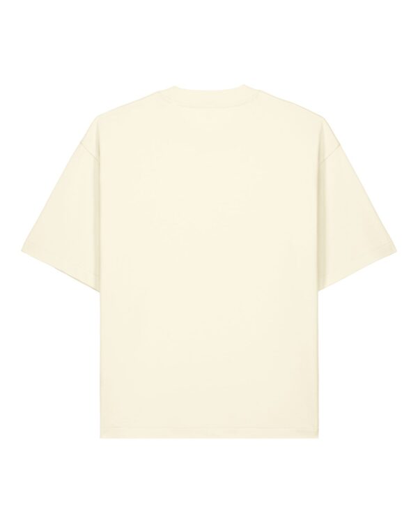 PBM0 STTU078 C361