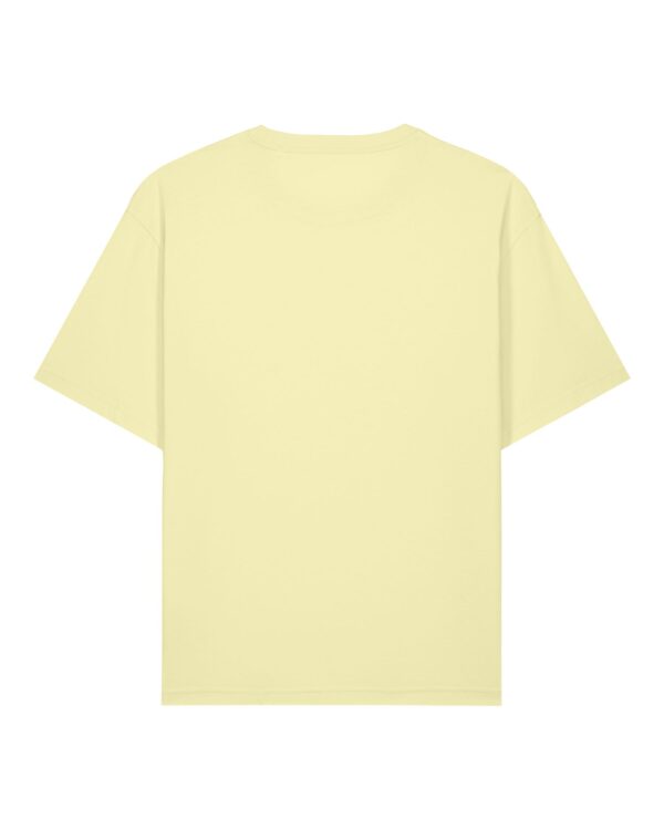 PBM0 STTU964 C133